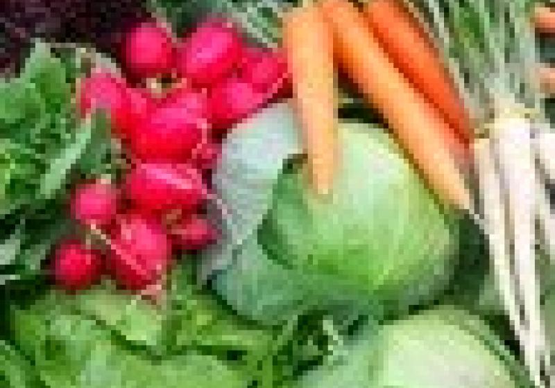 Bojujte proti nachlazení českou zeleninou