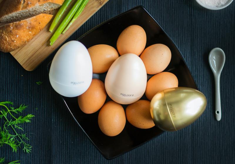 Proč kupovat bio vejce a vejce z volného výběhu?