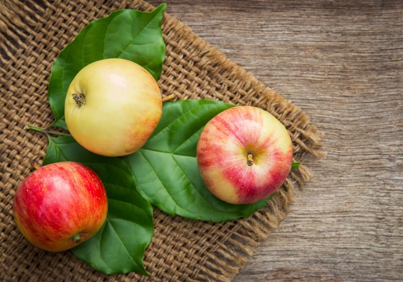 10 zajímavostí o jablkách