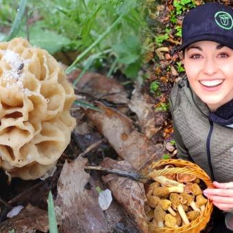 Šumavská houbička na lovu smržů: Může růst i u známé byliny, že je objevím ve sněhu jsem nečekala 