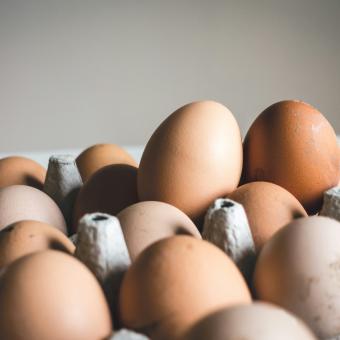 Jak je to s čerstvostí vajec v obchodech: Spotřeba se prodlužuje různě, některé metody mohou mít vliv na šlehatelnost bílků