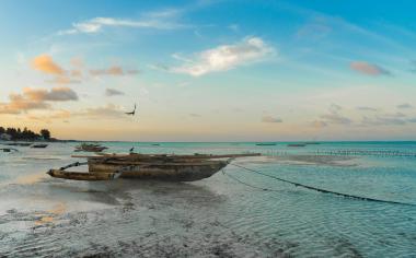 Pohlednice ze Zanzibaru: Je to ráj na zemi, kromě krásné přírody si vychutnáte i zdejší multikulturní kuchyni