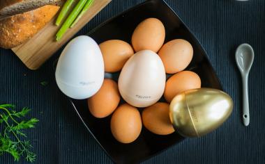 Proč kupovat bio vejce a vejce z volného výběhu?