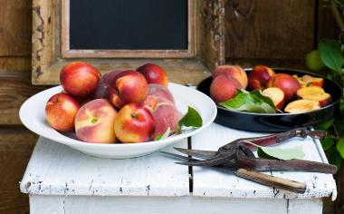 Broskve a nektarinky: 32 skvělých receptů, které vám osladí život