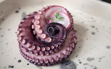 Jak si připravit nejlepší chobotnici: Nejdříve vařit, potom opékat. Skvělá je i nakládaná