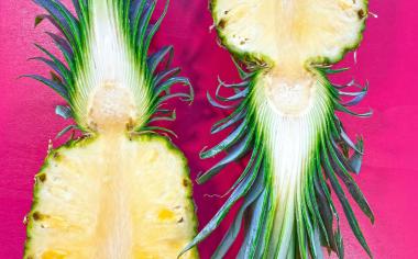 Jak poznáte zralý ananas?