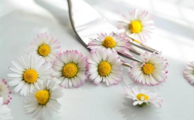 KVÍZ: Jak dobře se vyznáte v jedlých květinách? 