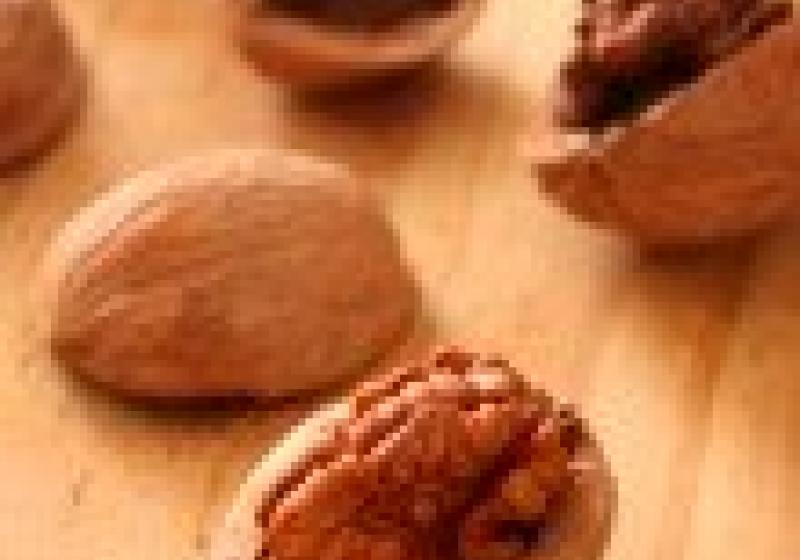 Jak na tvrdé ořechy
