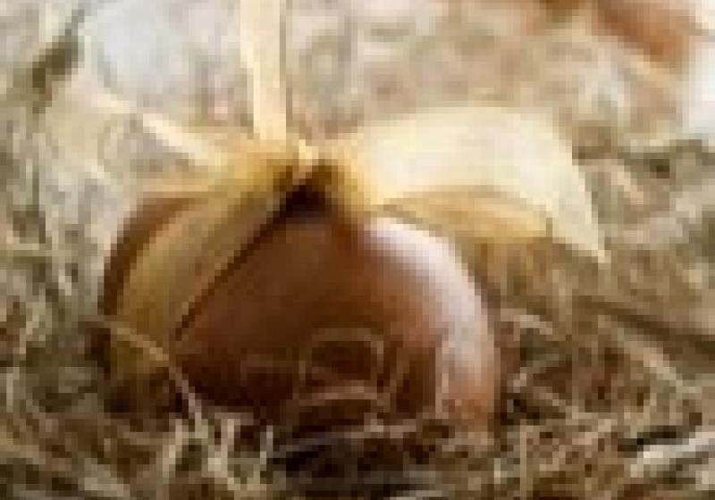 V Praze se soutěží o čokoládovo-zlaté vejce