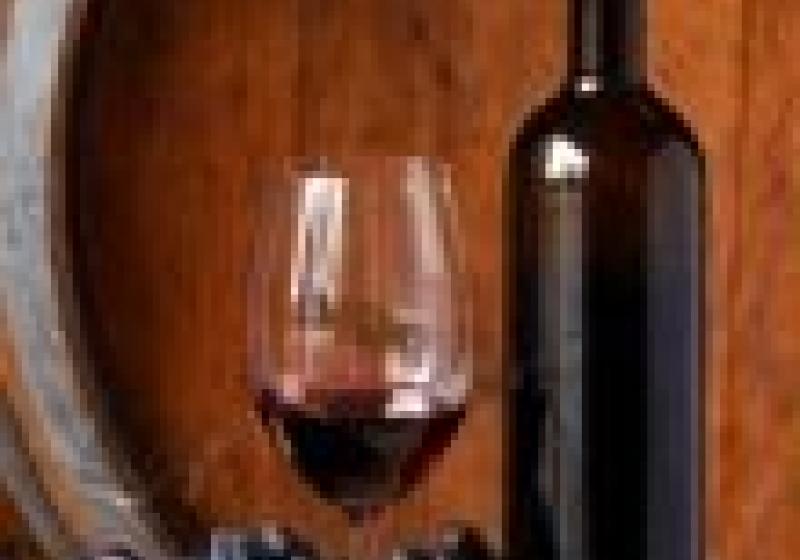 Přehlídka slováckých vín