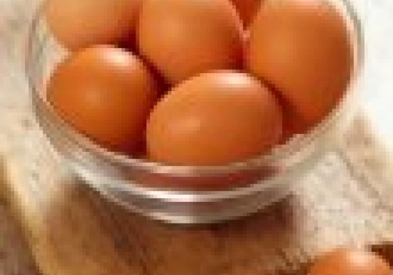Oslavte Den vejce na farmářském tržišti Kubáň