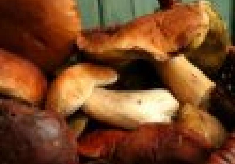 Ochutnejte gurmánský podzim v Hliněné baště
