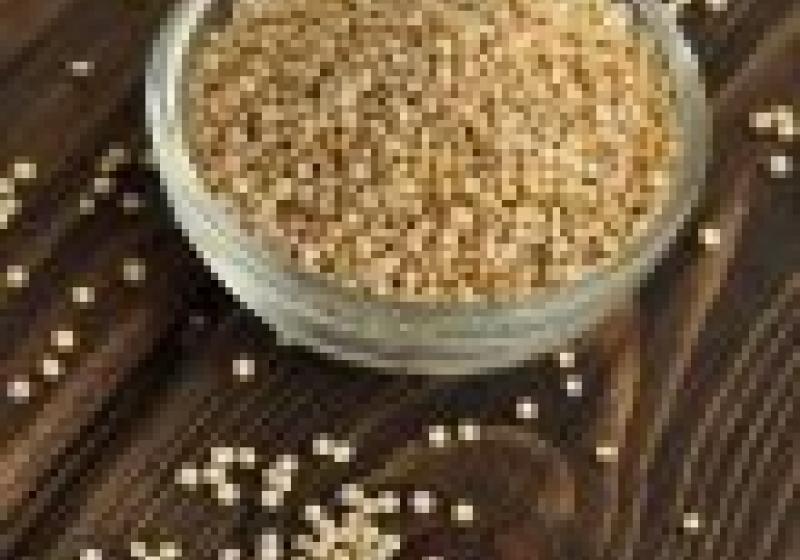 Jarní biovaření s quinoou