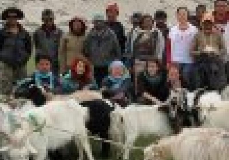 Koza ProTibet – podpora tibetských nomádů