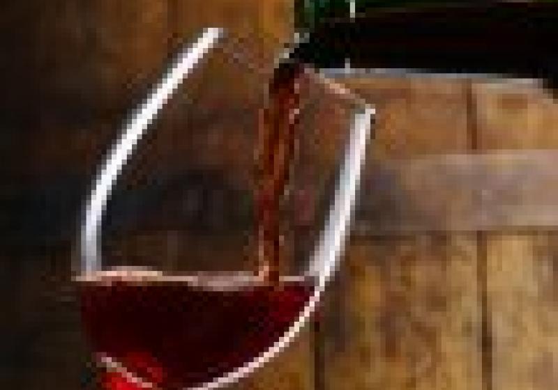 Tip na akci v Praze: Degustace autentického vína z Moravy