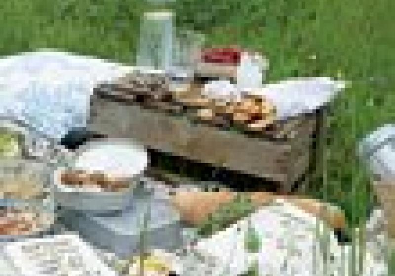 Menší rodinná oslava – piknik