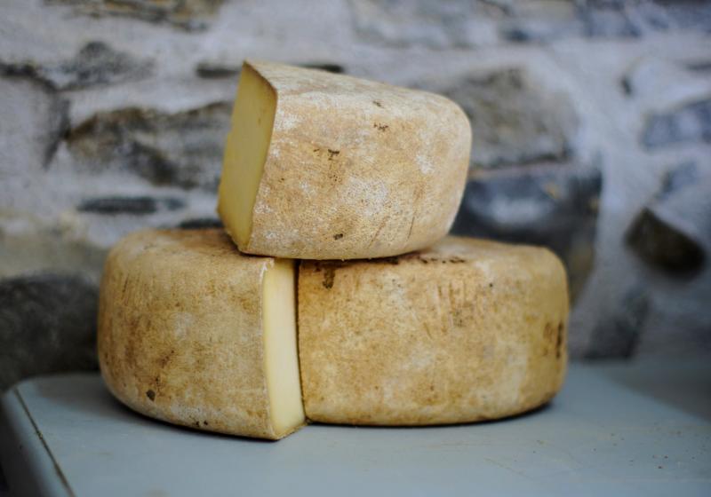 Za vůní sýrů: na skok u sýrových velmocí