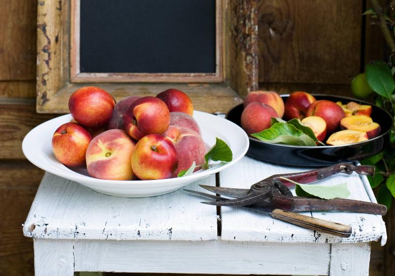 Broskve a nektarinky: 32 skvělých receptů, které vám osladí život