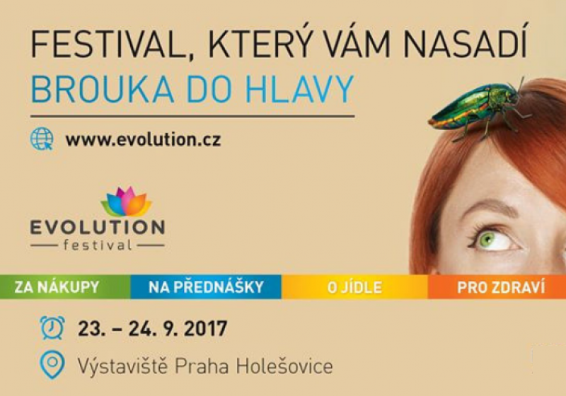 Festival Evolution 