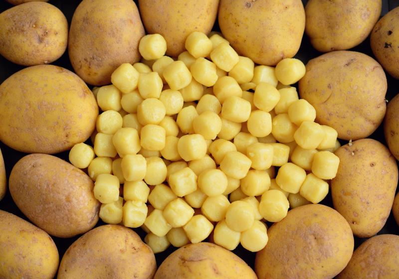 VIDEO: jak jsme testovali bramborové gnocchi