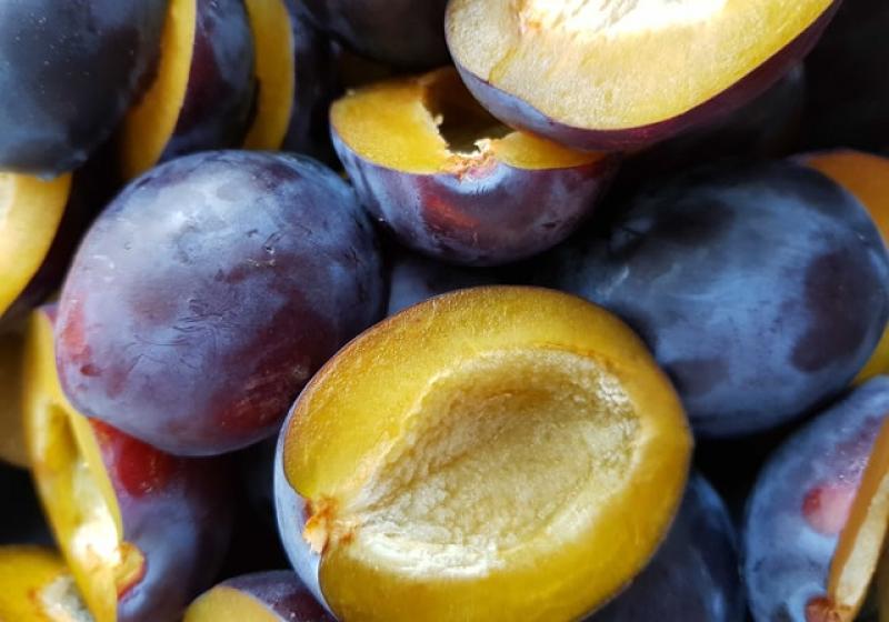Švestky – ovoce plné chuti i zdraví