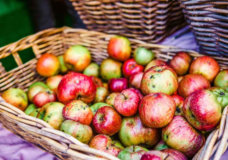 Co se starými jablky? Vyrobte si jablečný med