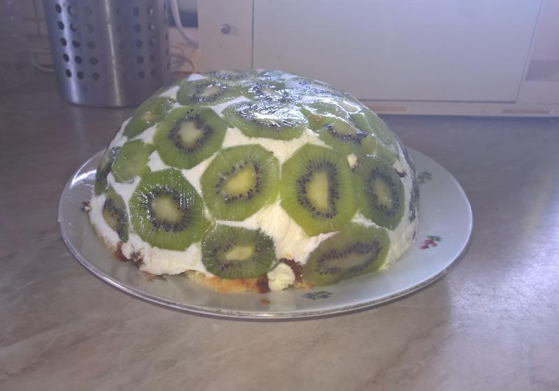 Kiwi dort