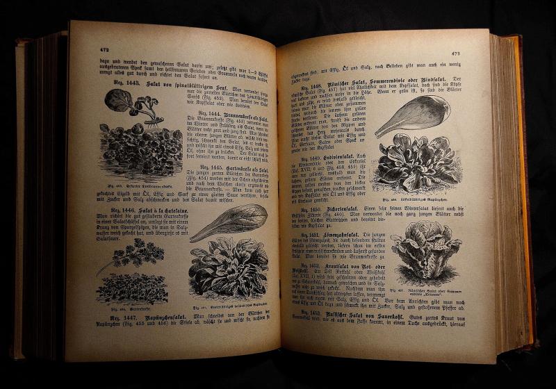 stará kuchařská kniha