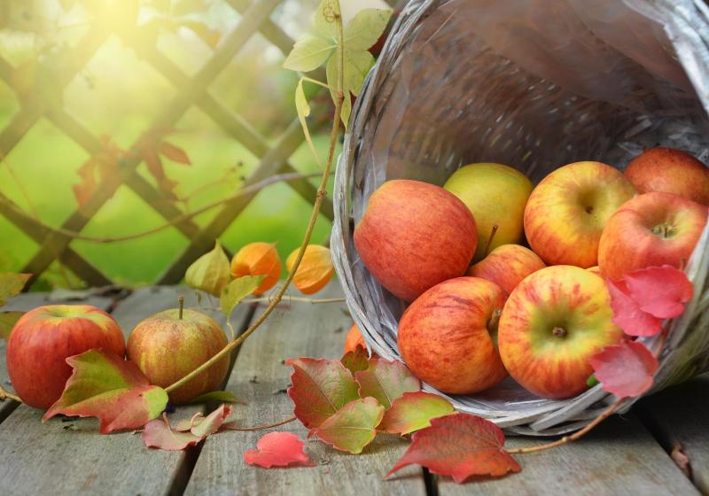 Jablečné hody: 20 receptů s jablky