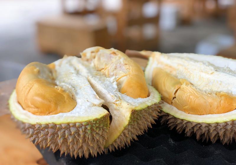 Král všeho ovoce, smradlavý durian