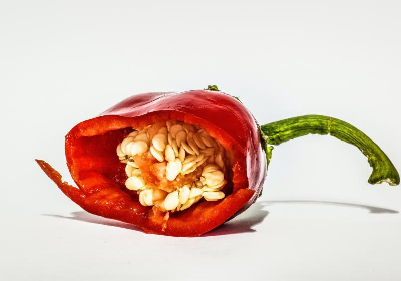 Nejlepší způsoby, jak naložit s paprikou: 10 ověřených receptů