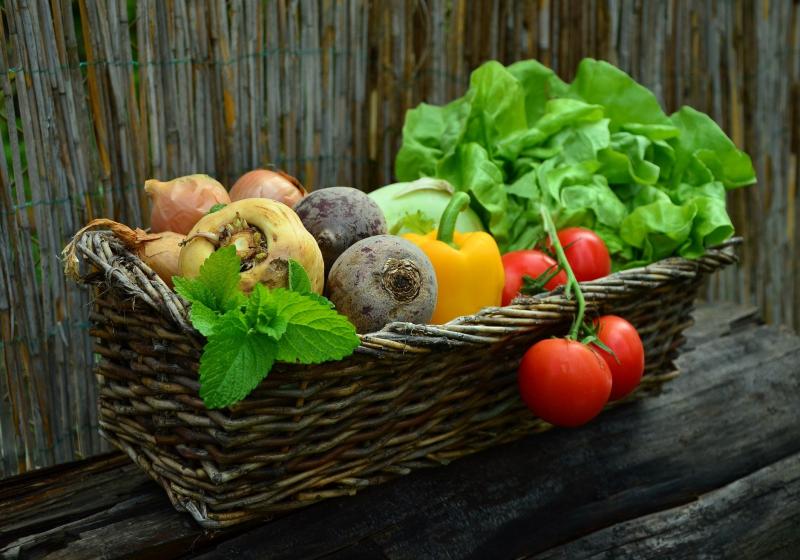 Česká zelenina míří do super a hypermarketů