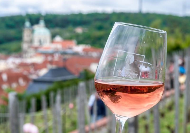 Svátek růžových vín ve Ville Richter