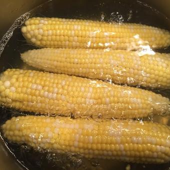 Blanšírování kukuřice