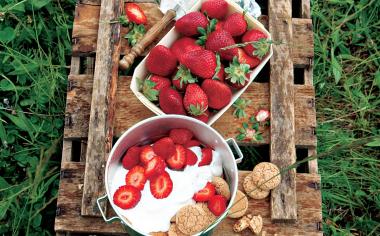 Jak správně skladovat jahody: Je lepší je neomývat nebo použít octovou lázeň