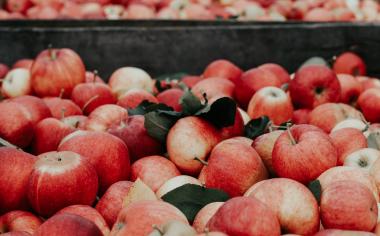 Pravidla moštárny aneb Jak na domácí jablečný mošt?