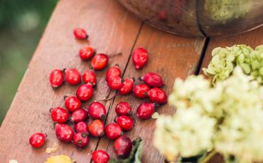 Šípky: vitaminy nabité plody podzimu