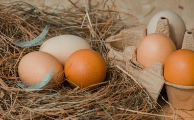 Jak se značí vejce?