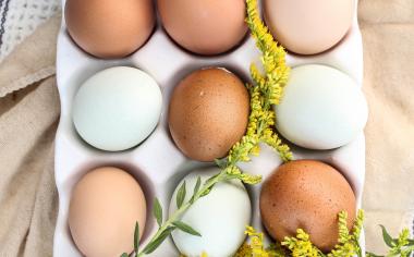 Kachní, křepelčí, pštrosí – netradiční druhy vajec