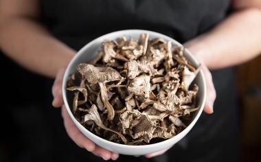5 prověřených způsobů, jak doma sušit houby a zásobit se na zimu