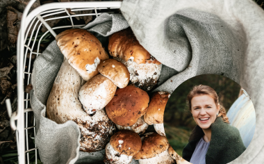 Glosa Anny Grosmanové: Na to, jak Češi houbaří, tady chybí kuchař, který by se houbám pořádně věnoval