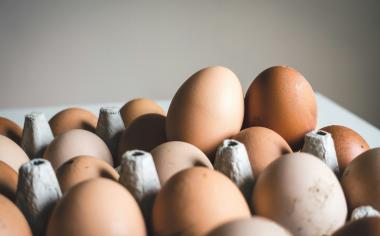 Jak je to s čerstvostí vajec v obchodech: Spotřeba se prodlužuje různě, některé metody mohou mít vliv na šlehatelnost bílků
