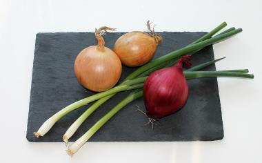 Šalotka, jarní, žlutá nebo červená - druhy cibule a jejich využití v kuchyni
