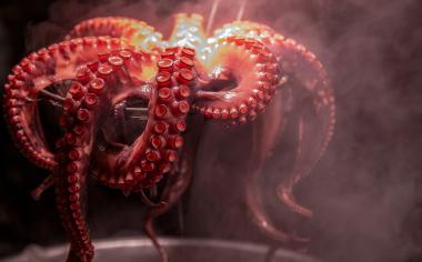  Chobotnice a oliheň: Pochutnejte si na plodech moře
