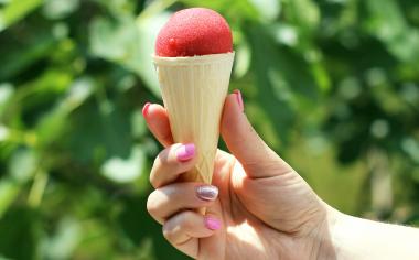 Sorbet, zmrzlina i dřeň: 4 způsoby, jak zmrazit jahody