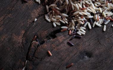 Kolik druhů rýže znáte a čím se od sebe liší?